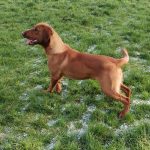 WhatsApp Image 2024-01-16 at 13.56.45_d5e892b0