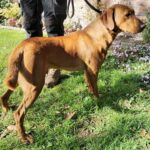 WhatsApp Image 2025-10-03 at 20.52.05_15452fb1