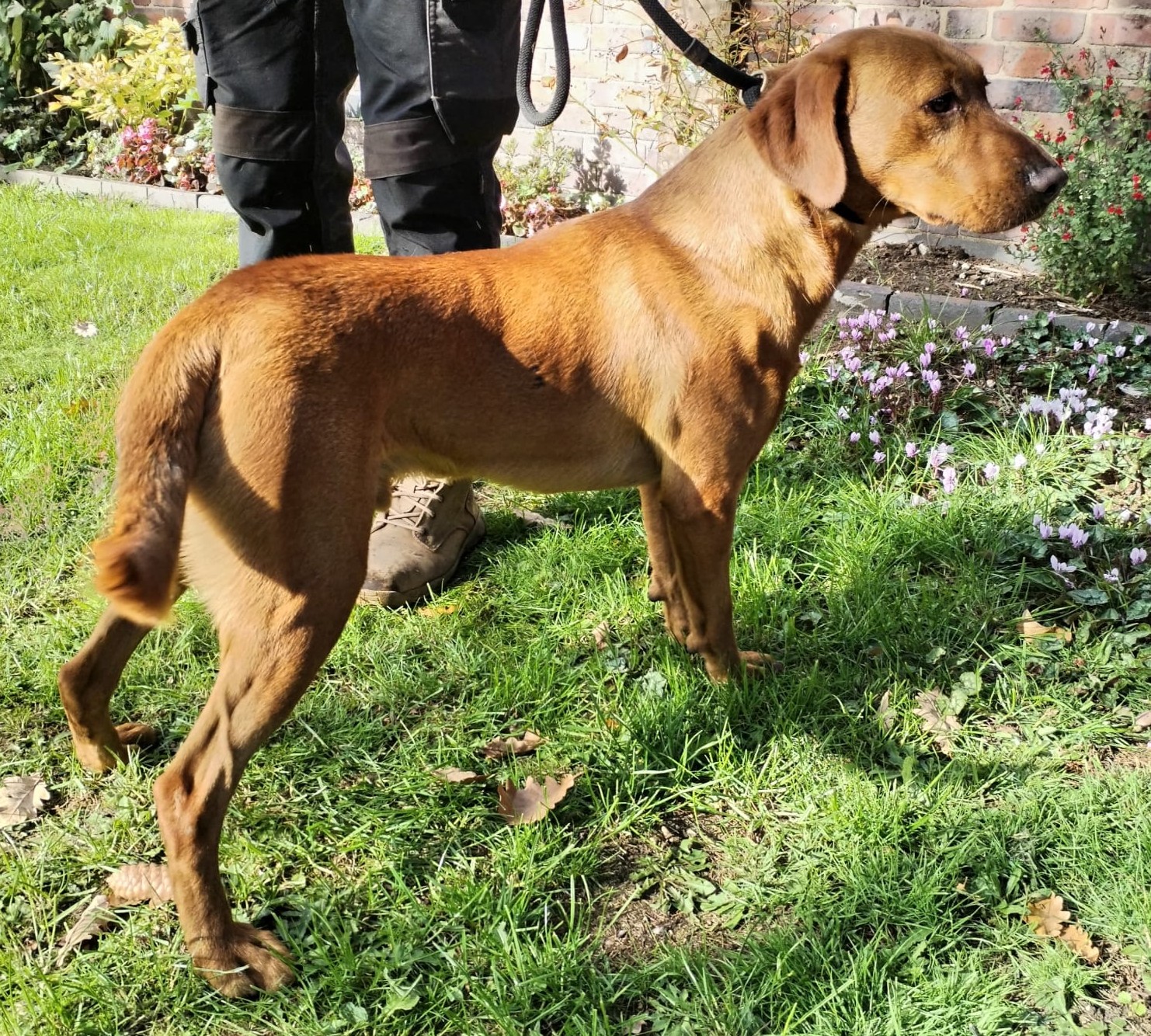 WhatsApp Image 2025-10-03 at 20.52.05_15452fb1