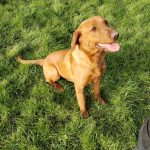 WhatsApp Image 2024-01-16 at 14.00.04_f3d71be8