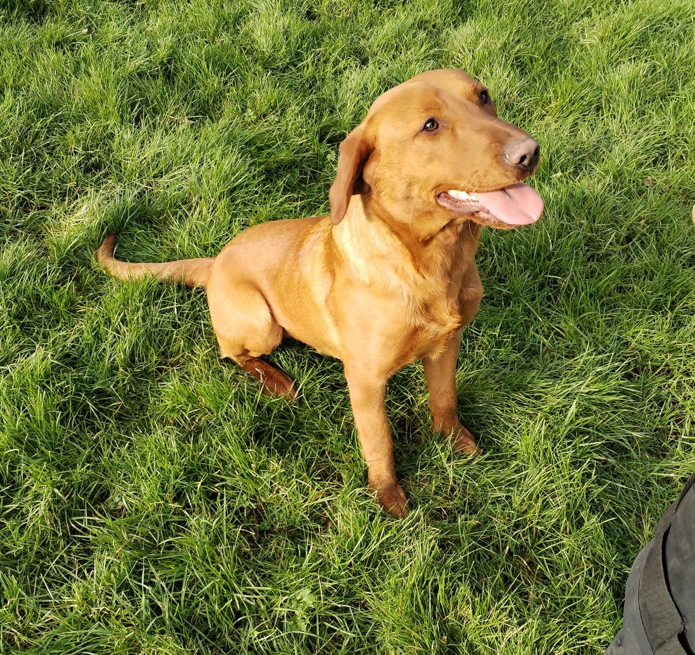 WhatsApp Image 2024-01-16 at 14.00.04_f3d71be8