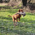 WhatsApp Image 2024-01-16 at 13.57.28_ae49927f