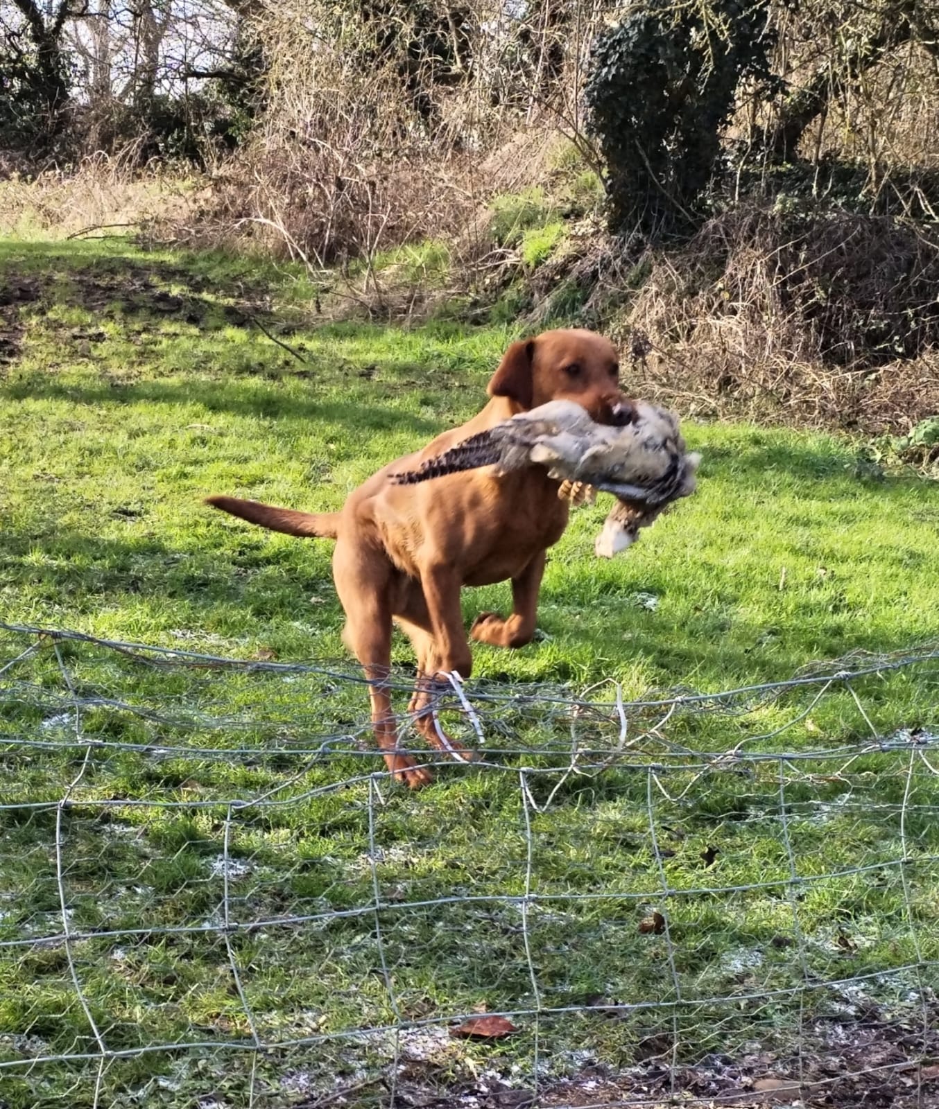 WhatsApp Image 2024-01-16 at 13.57.28_ae49927f