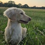 Screenshot_20251107_084755_Instagram