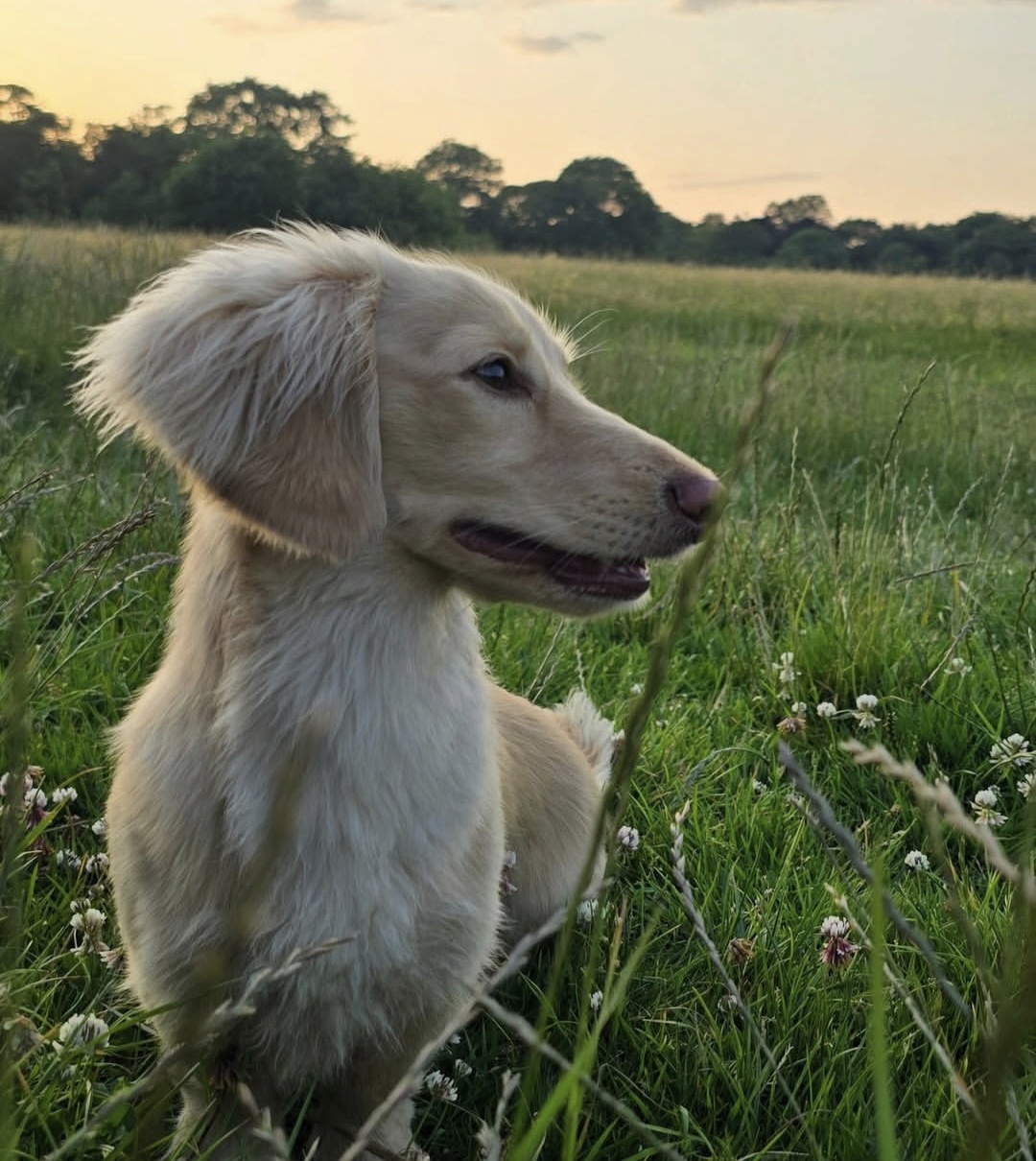 Screenshot_20251107_084755_Instagram