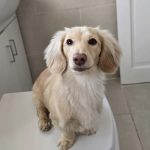 Screenshot_20251107_084832_Instagram