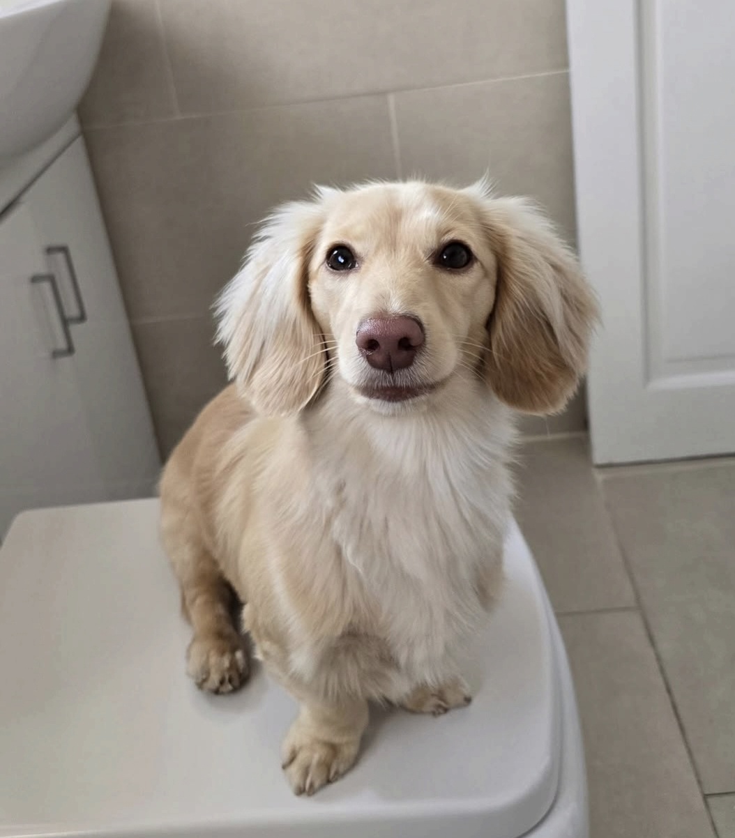 Screenshot_20251107_084832_Instagram