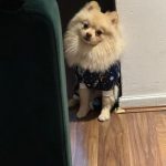 55794E13-BFBA-4C17-85A9-A48222F199F0