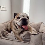 WhatsApp Image 2025-11-05 at 13.34.47 (1)