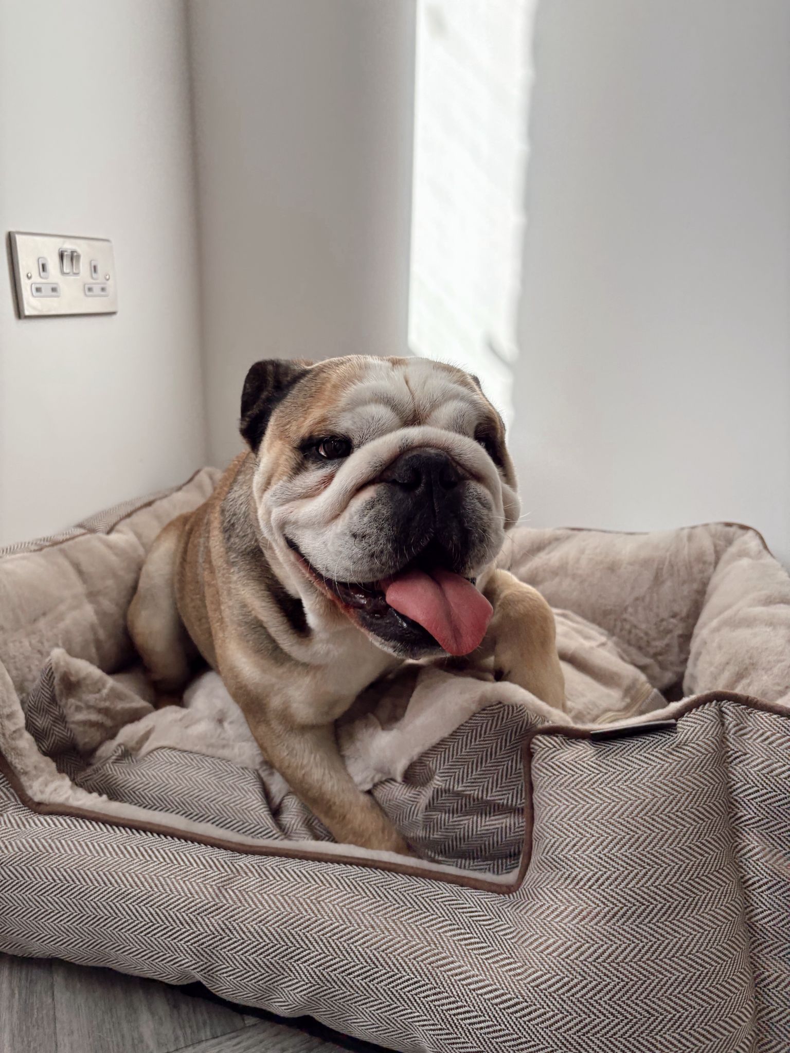 WhatsApp Image 2025-11-05 at 13.34.47 (1)