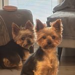 2FC28EC7-42FA-4F5D-A0A9-7E9AA6673787