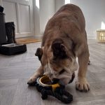 WhatsApp Image 2025-11-05 at 13.34.47