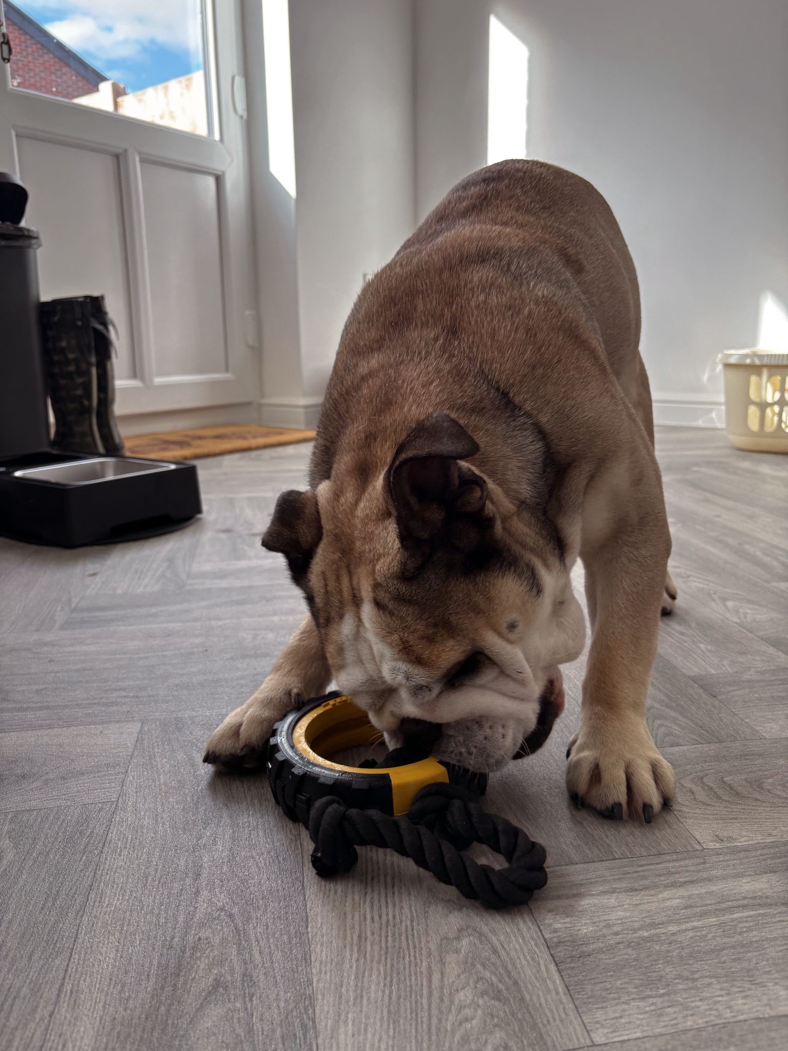 WhatsApp Image 2025-11-05 at 13.34.47