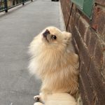 09C4C276-7E4C-417B-B701-E07FD297DE43