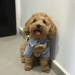 ec7a7caa-fc3b-40a0-ba0d-46cd5cb56b9a