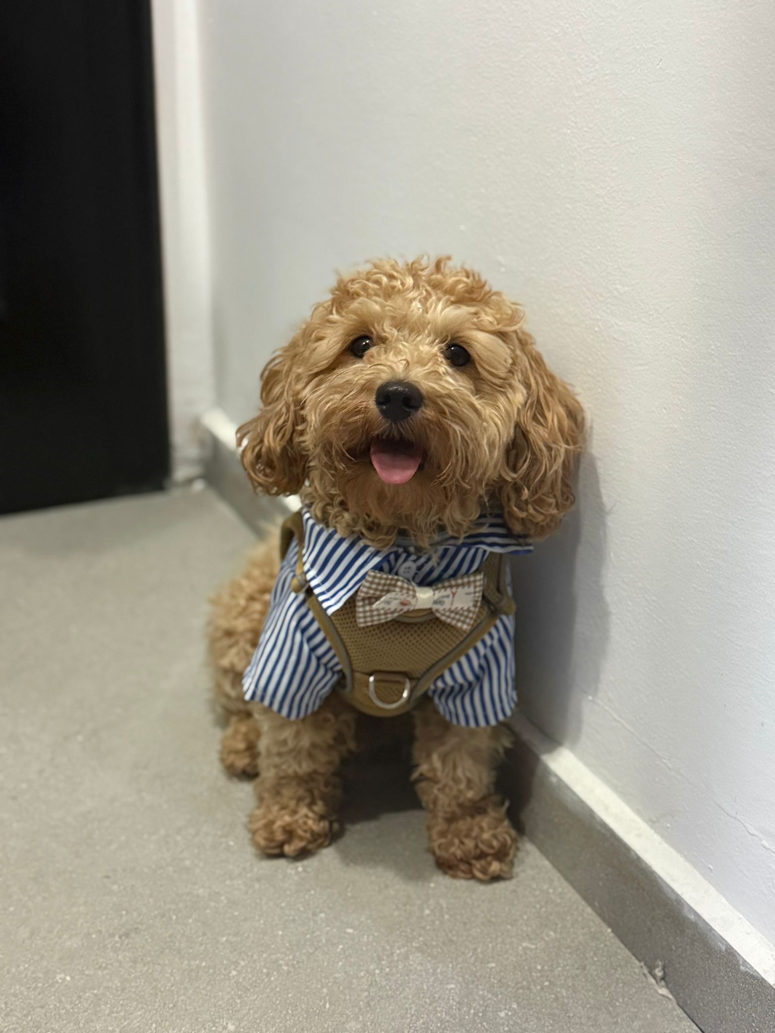 ec7a7caa-fc3b-40a0-ba0d-46cd5cb56b9a