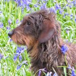 28085f8d-f7d6-4c9d-9ada-623f32992270