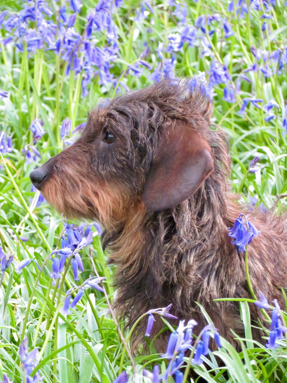 28085f8d-f7d6-4c9d-9ada-623f32992270