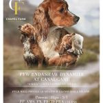 235929b8-0334-465d-9ebb-302877e1c9ad