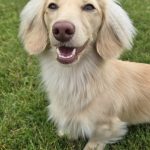 Screenshot_20251107_084736_Instagram