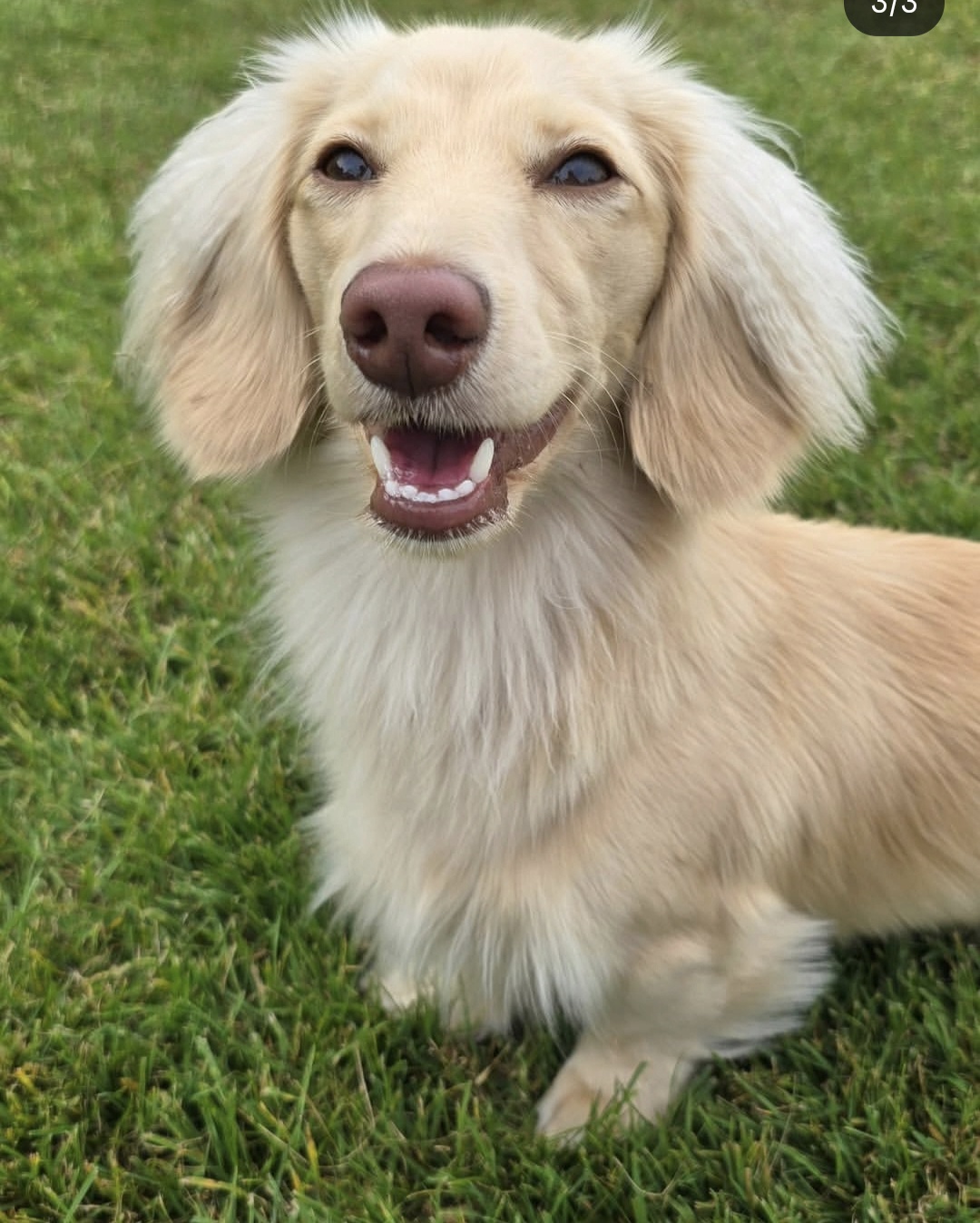 Screenshot_20251107_084736_Instagram