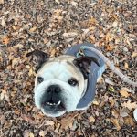 WhatsApp Image 2025-11-05 at 13.34.45