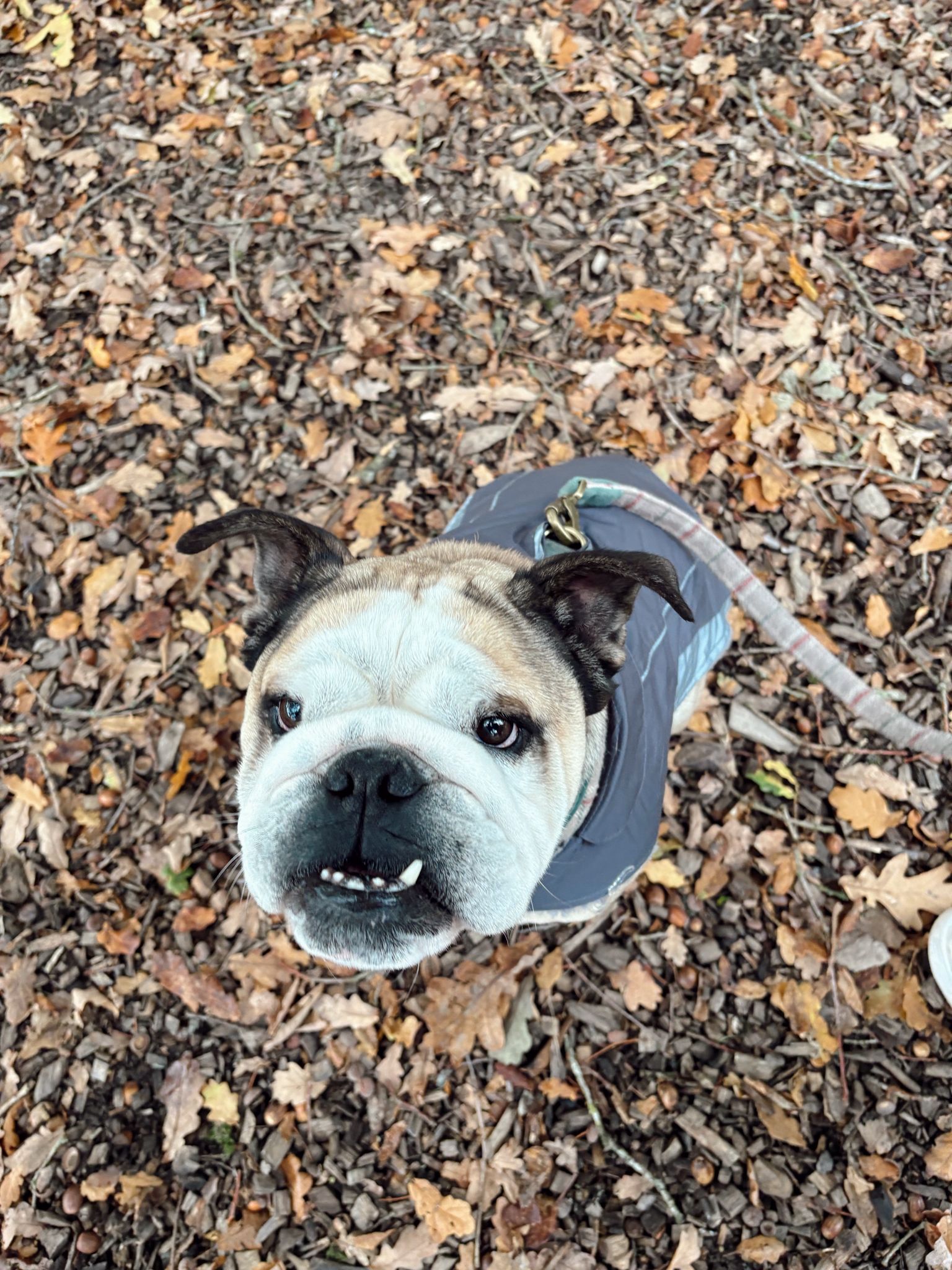 WhatsApp Image 2025-11-05 at 13.34.45