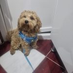 a83714c8-6b9c-40bb-a2a9-e4585942385d