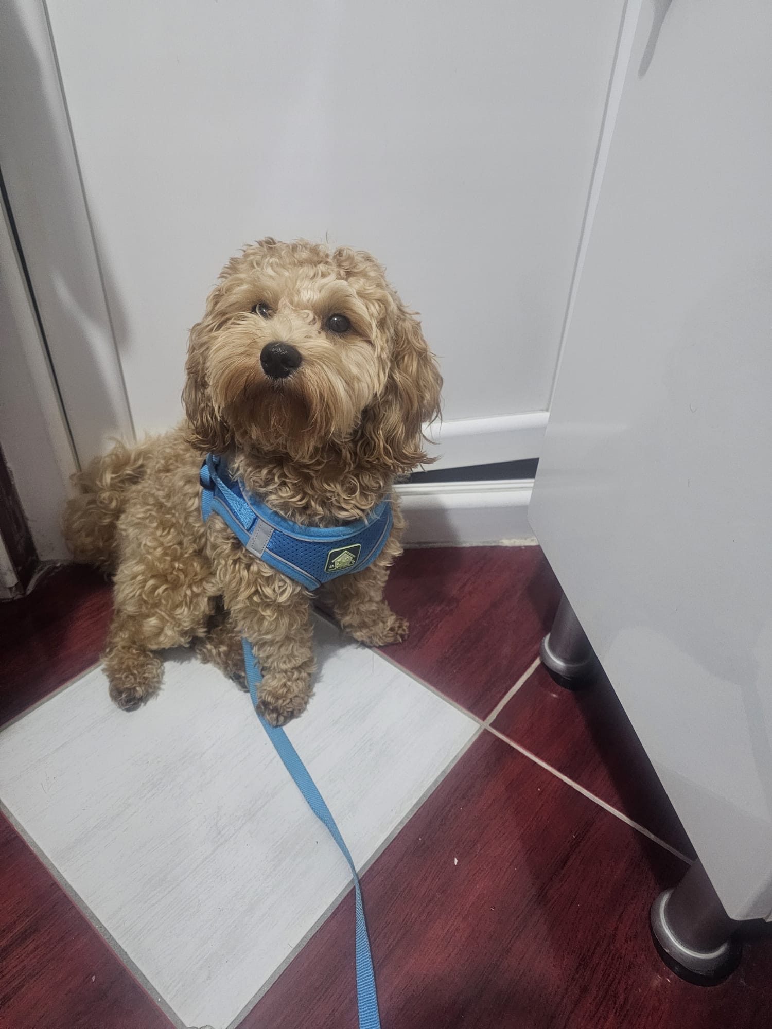 a83714c8-6b9c-40bb-a2a9-e4585942385d