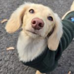 Screenshot_20251107_084856_Instagram