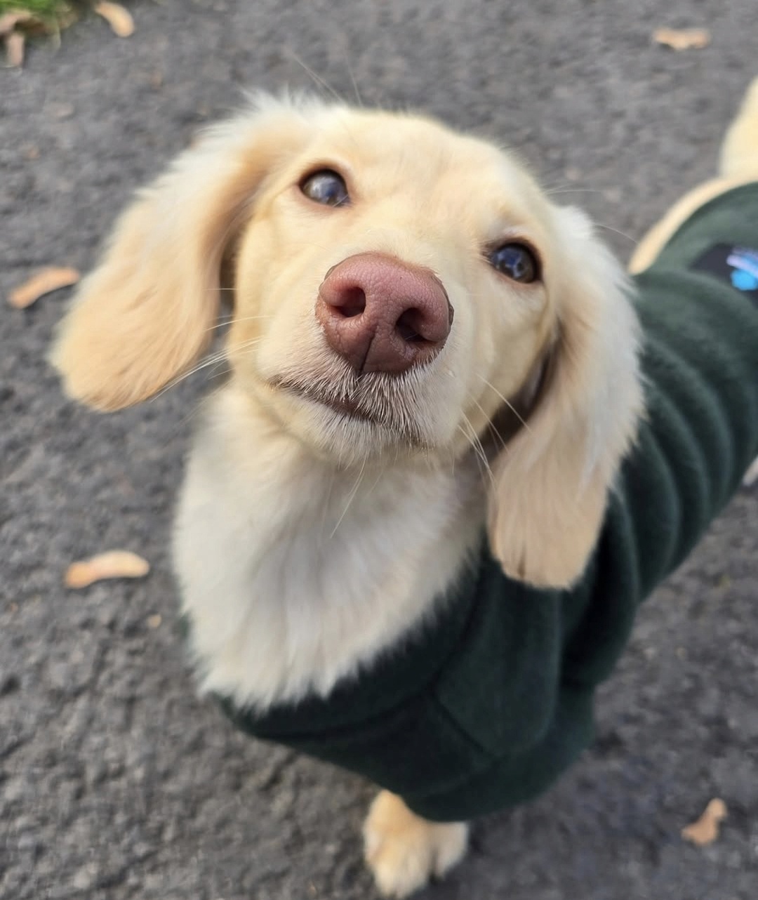 Screenshot_20251107_084856_Instagram