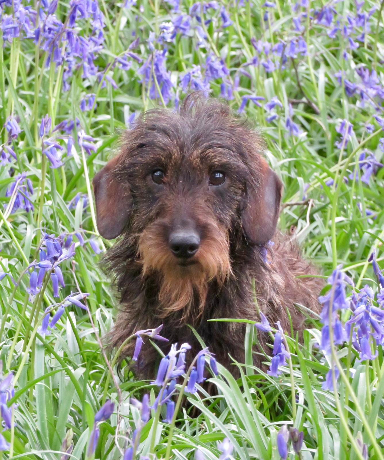 6ca1d247-3b4e-486f-a0ec-181ea91963c0