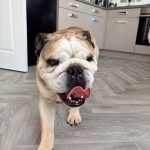 WhatsApp Image 2025-11-05 at 13.34.46