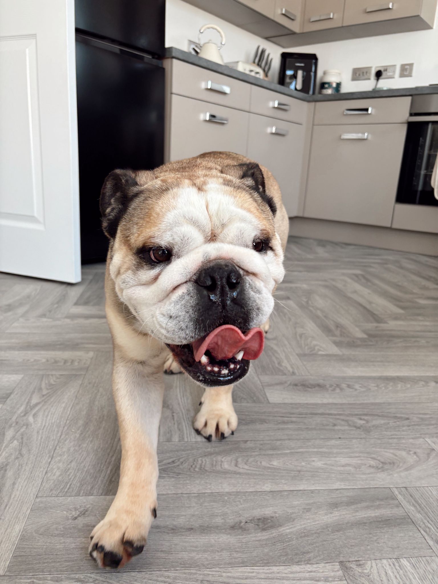 WhatsApp Image 2025-11-05 at 13.34.46