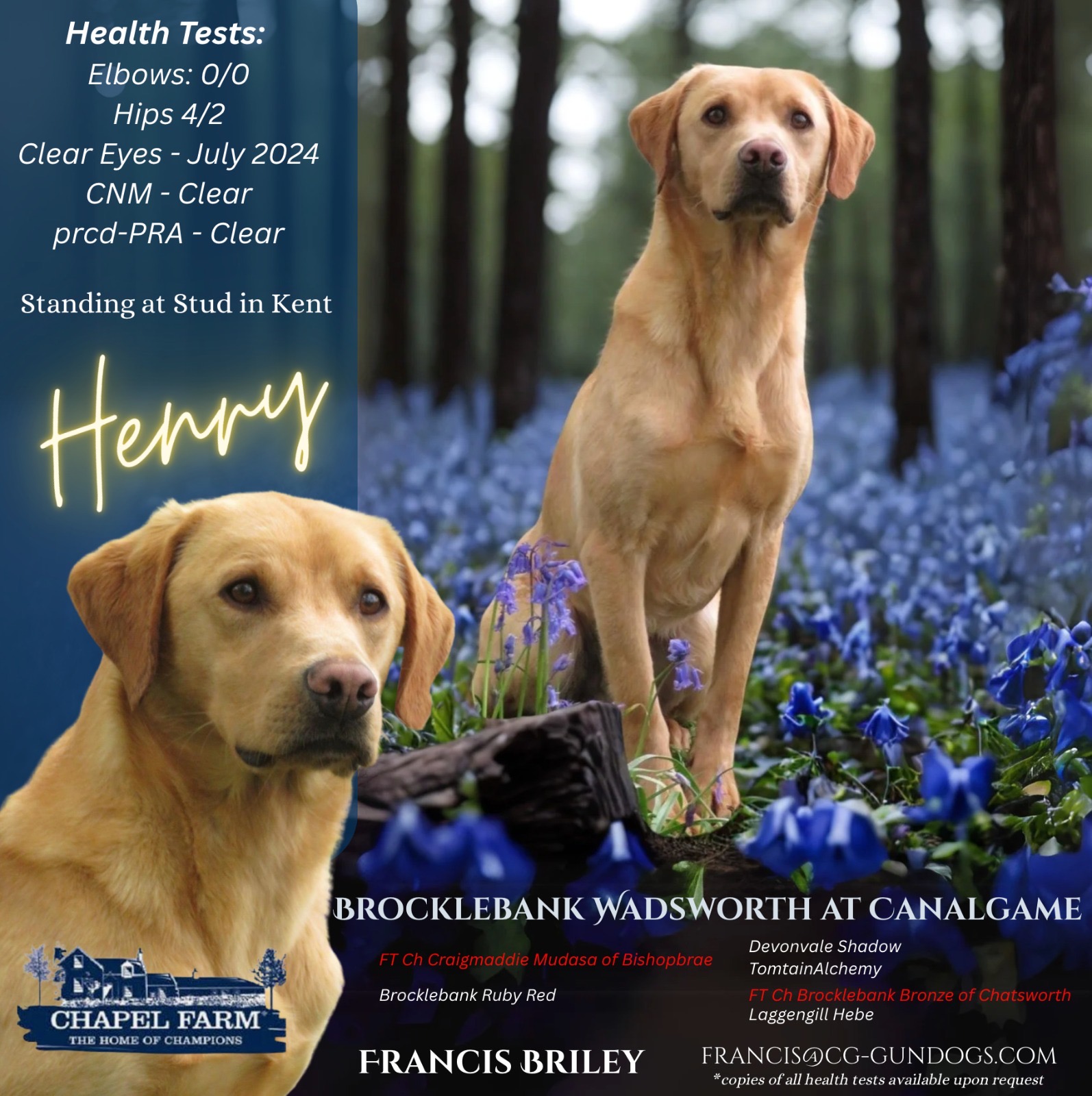 d96d94a0-7879-4d6f-9b3c-7ad4c31da7ab