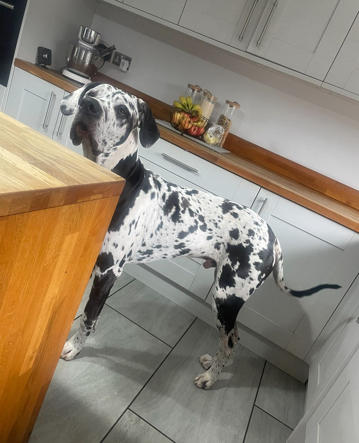 fc5878f0-98ce-49d9-9205-186ffd06362a