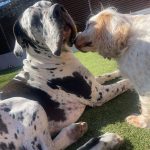 fcd0b55d-c576-4498-81c5-99cff89483ee