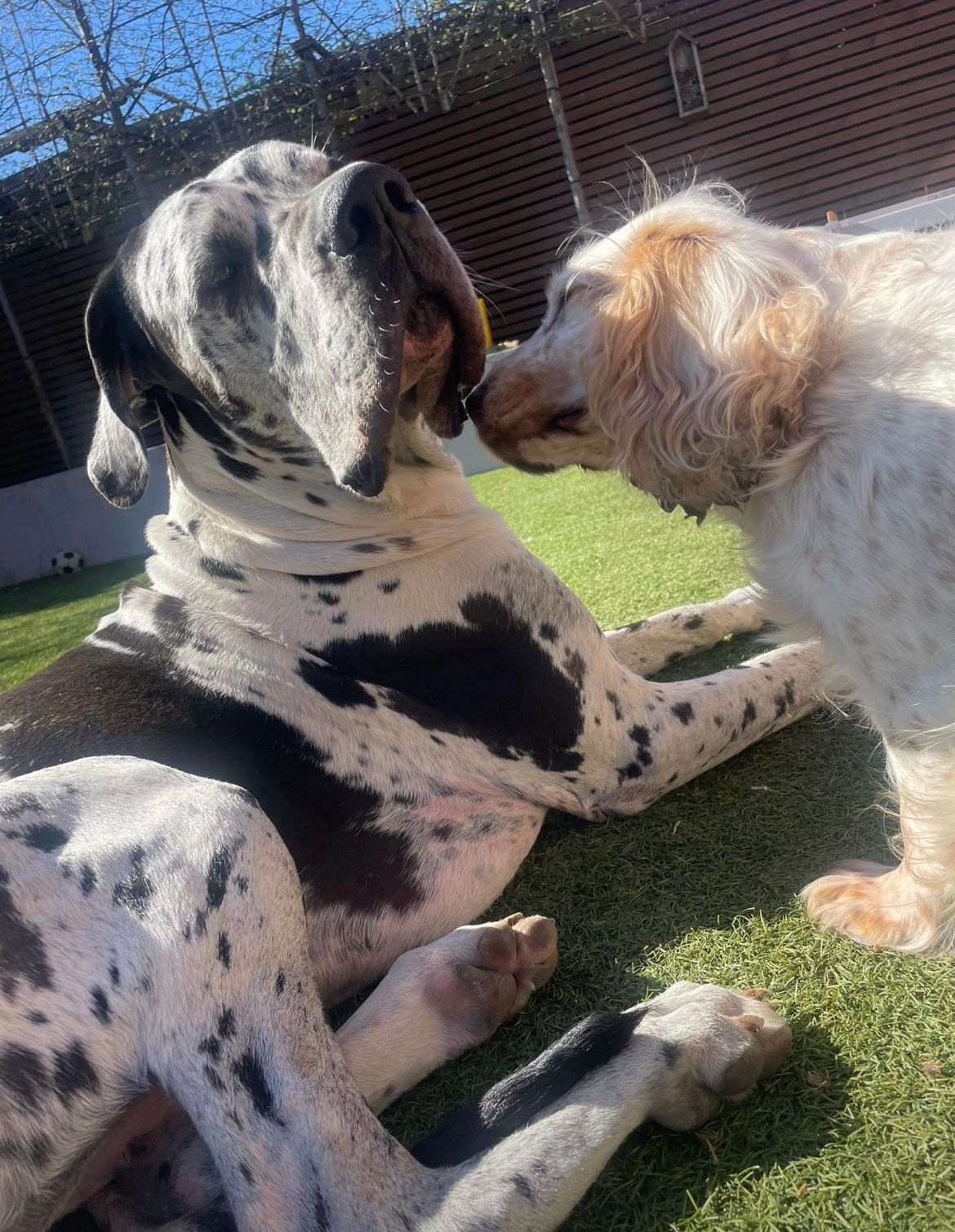 fcd0b55d-c576-4498-81c5-99cff89483ee