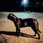 att.ClpBUSaHowgAkiy2igpKOp7SwfeRfnPUwcpW527fNvw