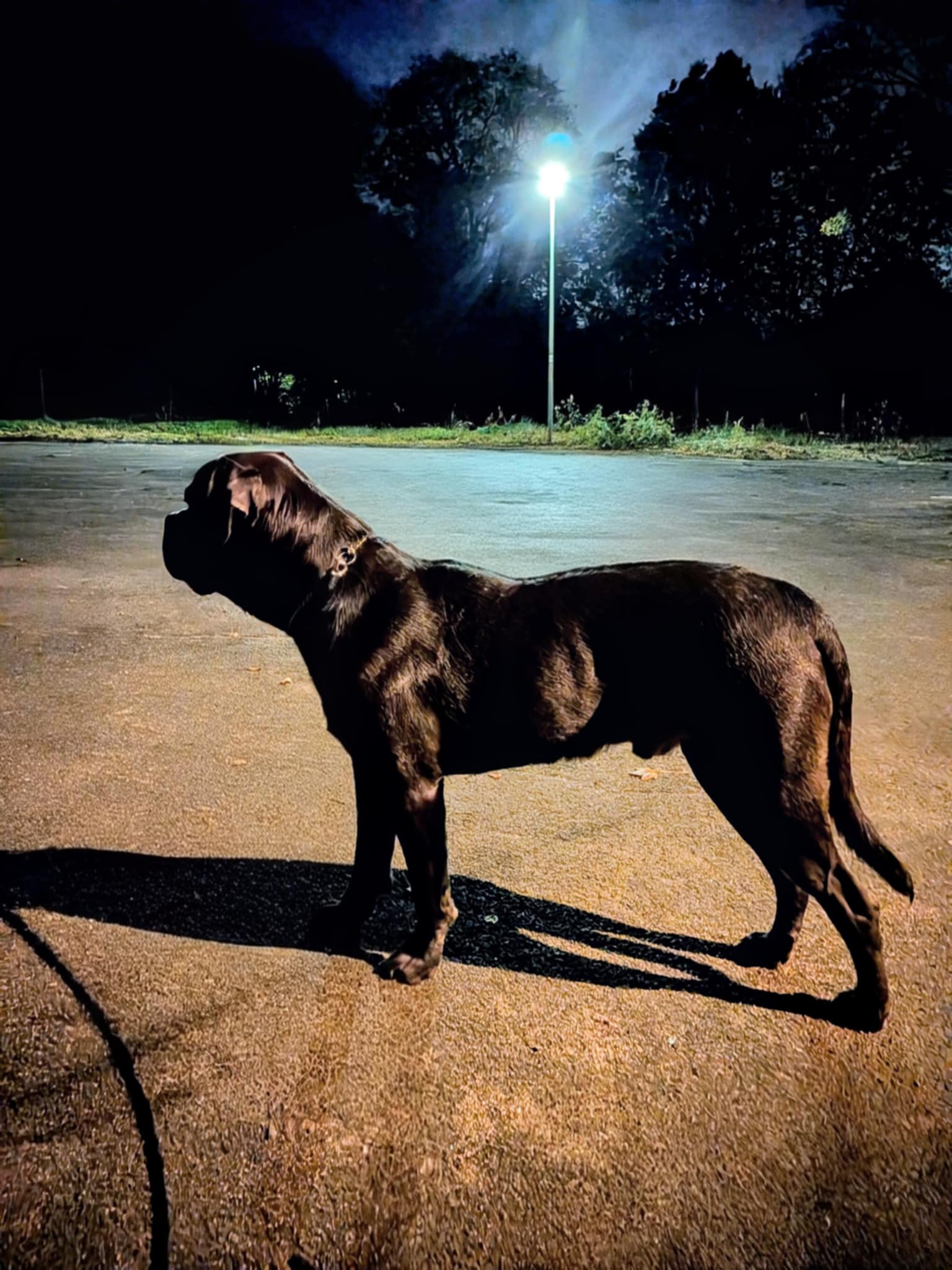 att.ClpBUSaHowgAkiy2igpKOp7SwfeRfnPUwcpW527fNvw