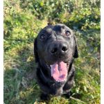 Screenshot_20251117_204432_Messenger