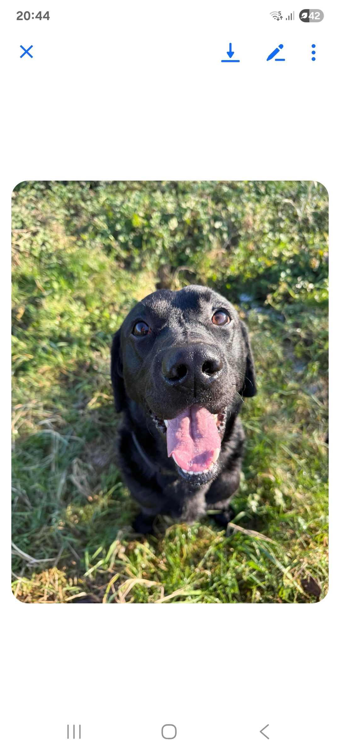 Screenshot_20251117_204432_Messenger