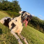 ec4245d3-662e-46b9-a7c4-2c223859dbc7