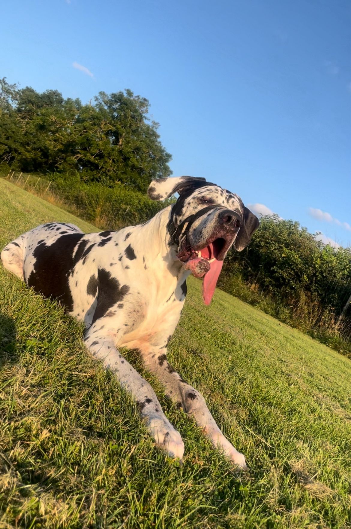 ec4245d3-662e-46b9-a7c4-2c223859dbc7