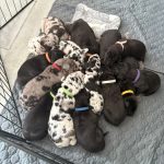 49292467-4010-45bb-978d-507e3bb01618