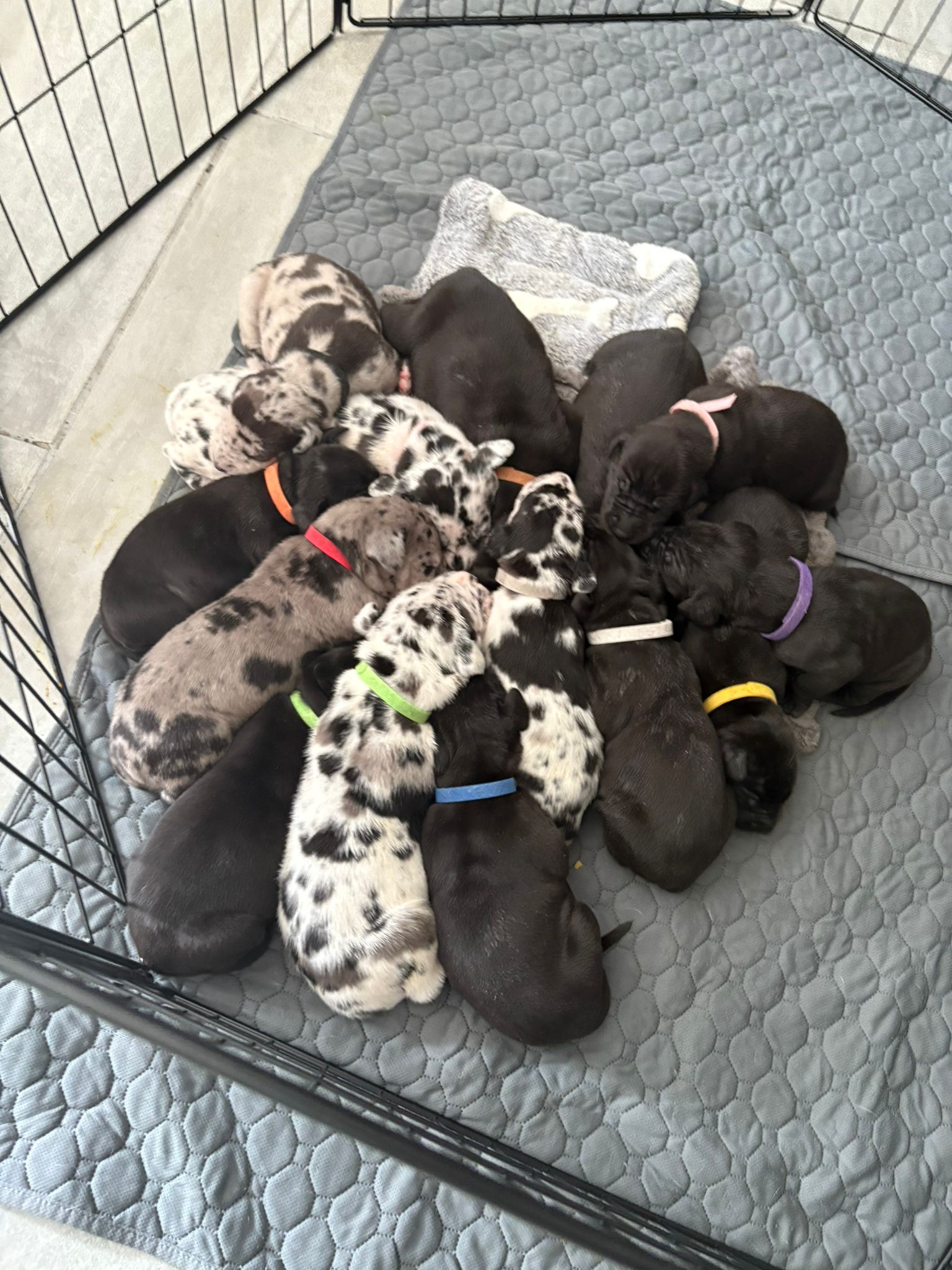 49292467-4010-45bb-978d-507e3bb01618