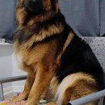 WhatsApp Image 2025-12-10 at 08.40.03