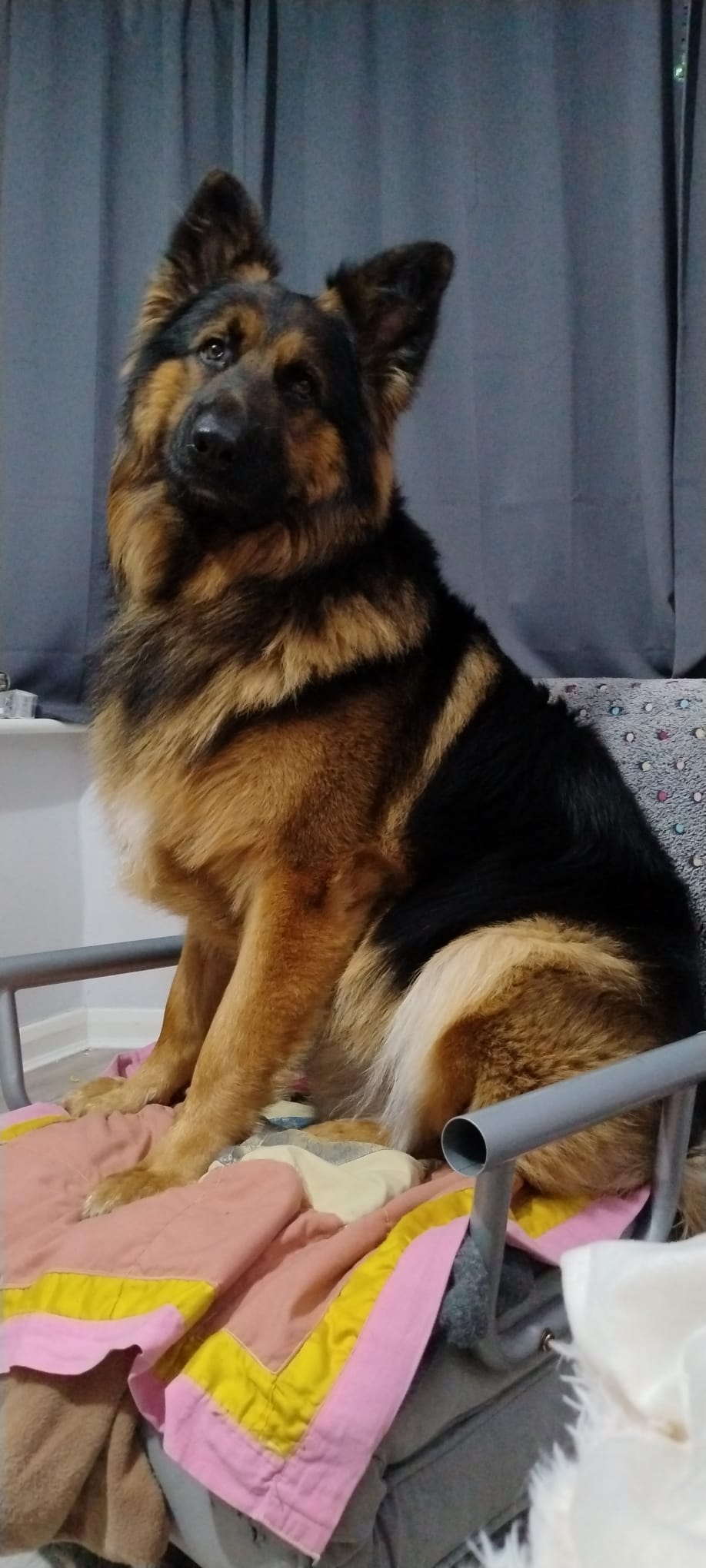 WhatsApp Image 2025-12-10 at 08.40.03