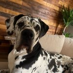 4eeb279d-fef9-4cdc-aee1-efa12f52edde