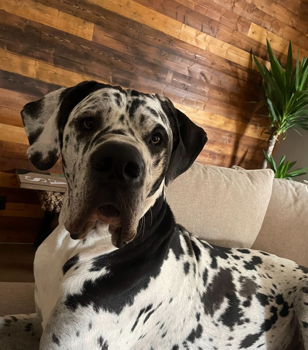 4eeb279d-fef9-4cdc-aee1-efa12f52edde